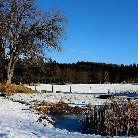 Bed & Breakfast Haus Astenberg 4*