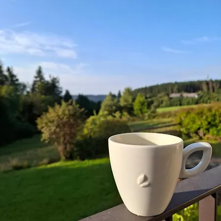 Haus Astenberg Bed and Breakfast Βίντερμπεργκ