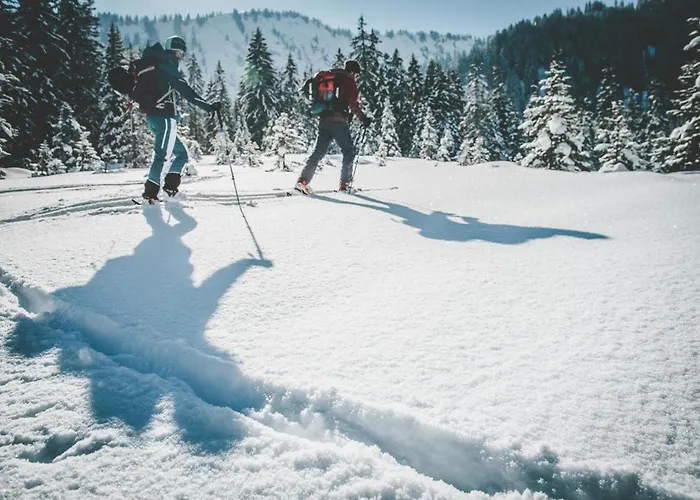 Haus Astenberg 3* Winterberg