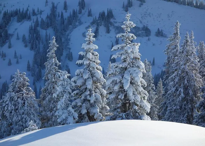 Nocleg ze śniadaniem Haus Astenberg Winterberg