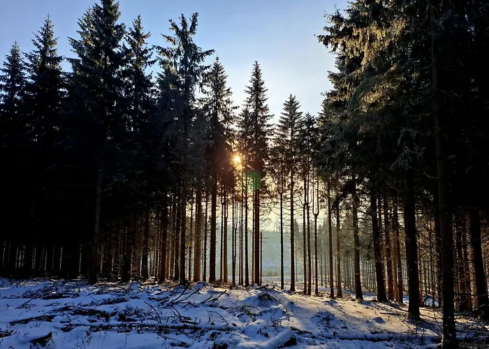 Haus Astenberg Nocleg ze śniadaniem