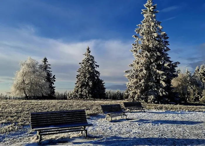 Haus Astenberg 3* Winterberg