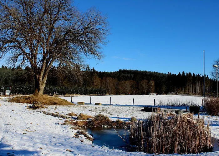 住宿加早餐酒店 Haus Astenberg 3*