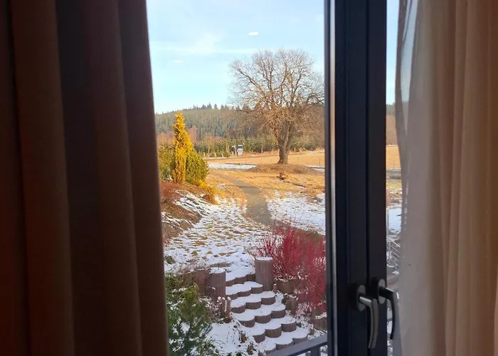 住宿加早餐酒店 Haus Astenberg 温特贝格