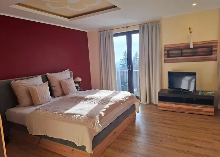 住宿加早餐酒店 Haus Astenberg 3*