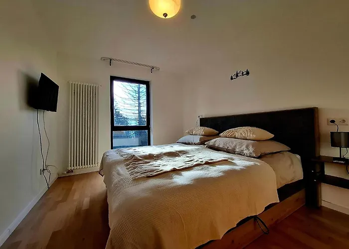 Haus Astenberg 3* 温特贝格